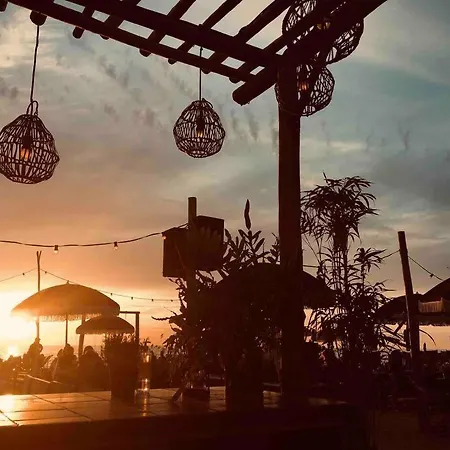 Have A Stay! -the Birdhouse, Tiny Close To The