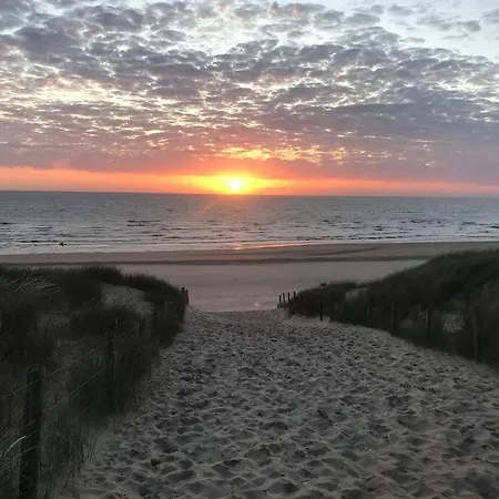 Apartment Have A Stay! -the Birdhouse, Tiny Close To The Noordwijk