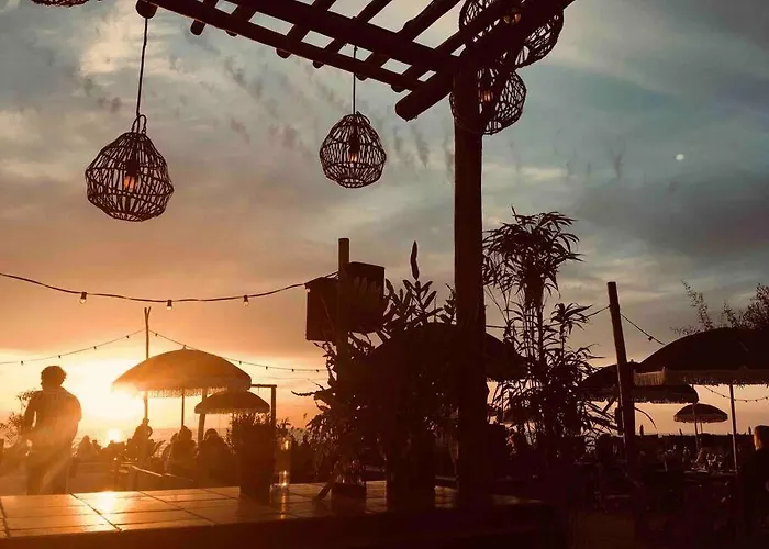 Have A Stay! -the Birdhouse, Tiny Close To The