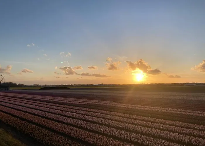 Lejlighed Have A Stay! -the Birdhouse, Tiny Close To The Noordwijk