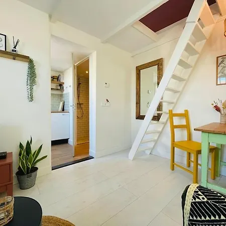 Have A Stay! -the Birdhouse, Tiny Close To The