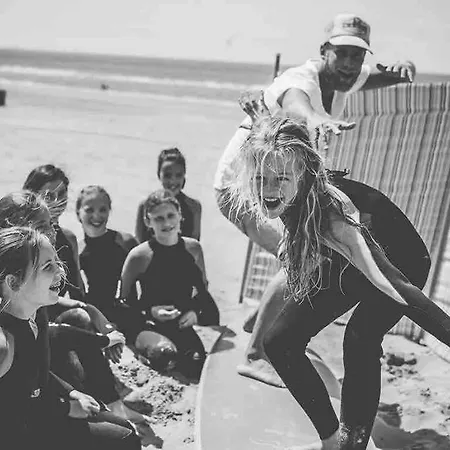 Have A Stay! -the Birdhouse, Tiny Close To The Lejlighed