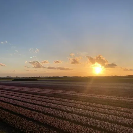 Lejlighed Have A Stay! -the Birdhouse, Tiny Close To The Noordwijk