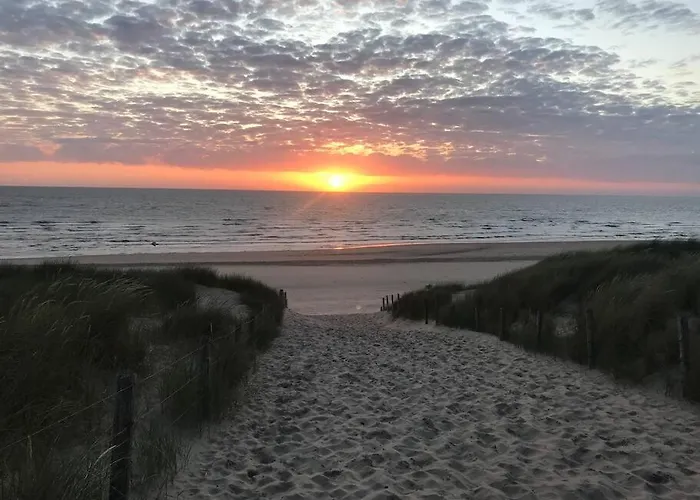 Apartamento Have A Stay! -the Birdhouse, Tiny Close To The Noordwijk